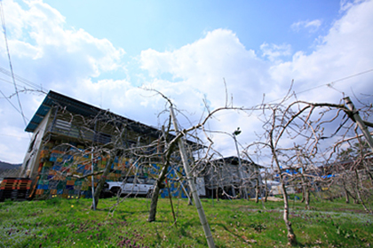 WELCOME TO FARM!